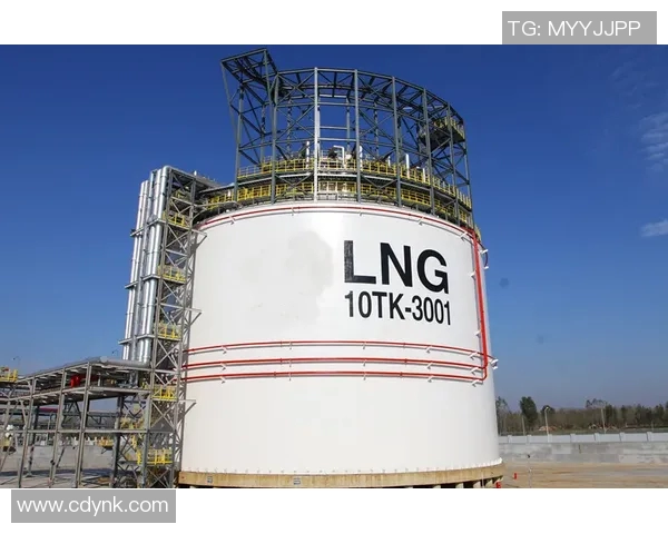 LNG战队快攻策略的成功与失败分析及其对比赛结果的影响