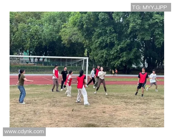 从零起步掌握飞盘运动团队协作技巧与策略全解析