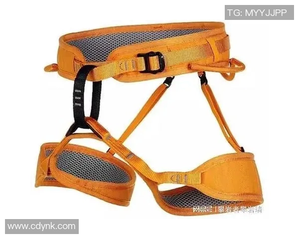 攀岩装备选购指南:如何选择合适的防护垫以确保安全与舒适 攀岩装备选购指南:如何选择合适的防护垫以确保安全与舒适