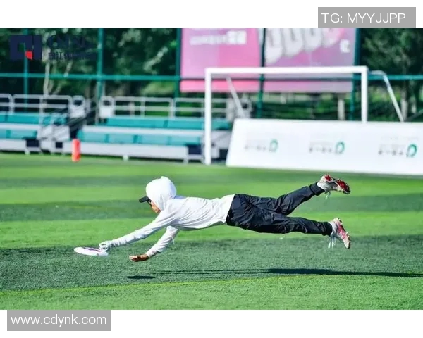 深入分析上海飞盘队的进攻策略与战术创新探讨