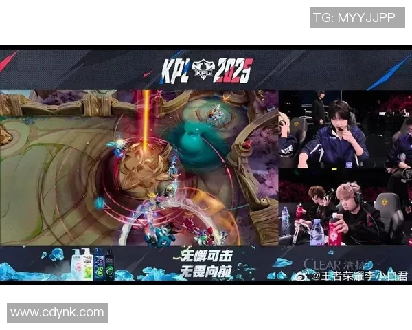 王者荣耀焦点解析：深入探讨JDG战队的游戏节奏与策略运用