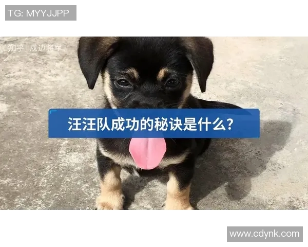 专访吴强:探寻足球成功背后的秘密与智慧 专访吴强:探寻足球成功背后的秘密与智慧