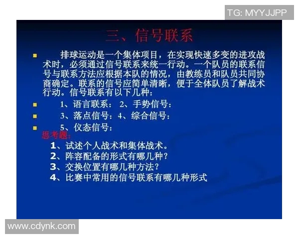 北京排球队的战术节奏解析与未来发展展望