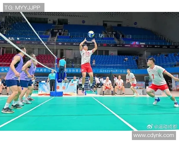 成都排球队技术争议引发热议球迷与专家观点碰撞探讨战术发展