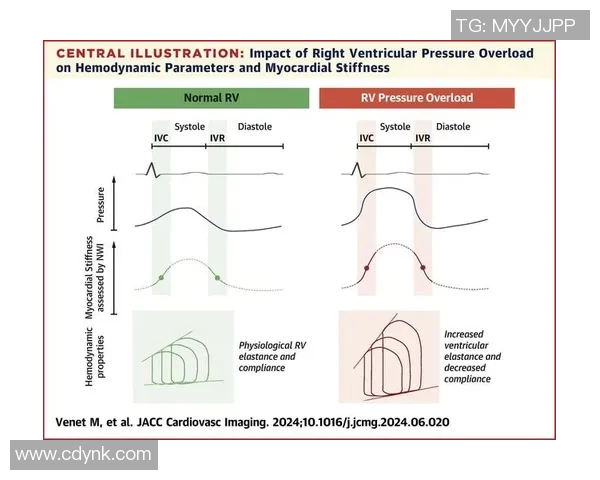 西安篮球队在联合会杯中的个人能力分析与表现评估