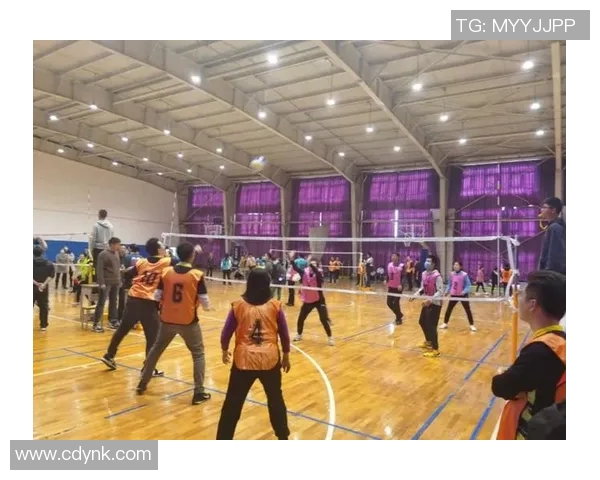 重庆排球队在排球比赛经验排行榜中荣获第4名彰显实力与潜力 重庆排球队在排球比赛经验排行榜中荣获第4名彰显实力与潜力