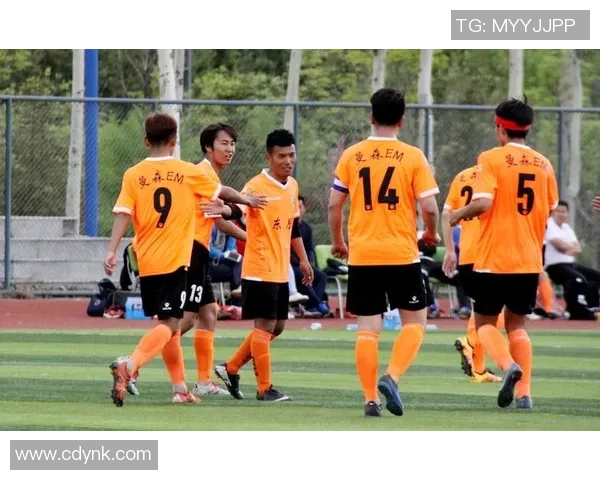 2017年中国足球队与伊拉克队激战回顾与分析