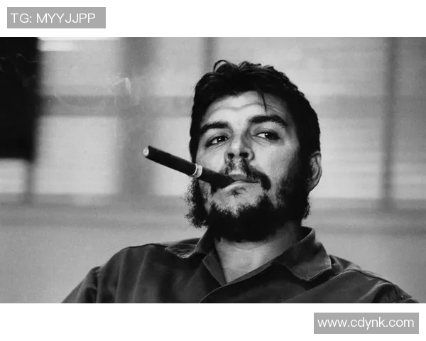 斯通斯的传奇旅程：从摇滚乐坛到全球文化的象征与影响