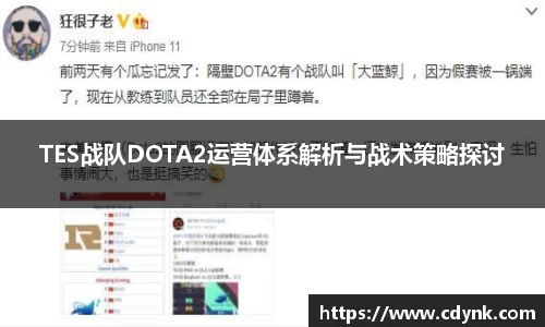 TES战队DOTA2运营体系解析与战术策略探讨
