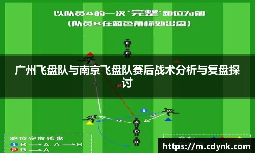 广州飞盘队与南京飞盘队赛后战术分析与复盘探讨